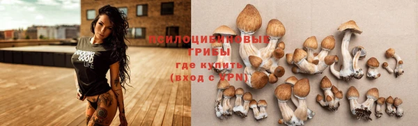 apvp Липки