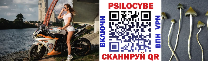 купить закладку  Чехов  Галлюциногенные грибы ЛСД 